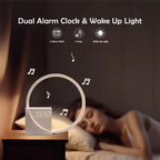 Sd6fe4426e8c84fc78344c6d1e8c2f2b9y